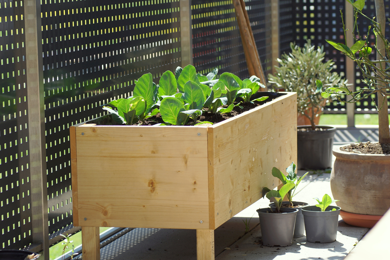Hochbeet auf der Terrasse