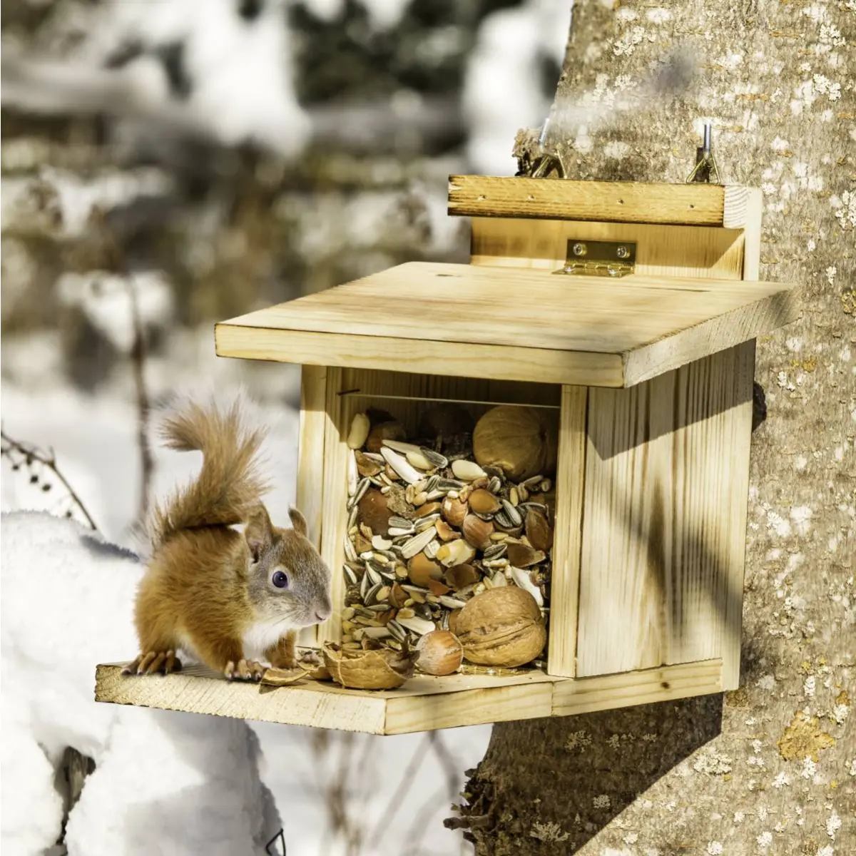 Eichhörnchen-Futterstation aus Holz