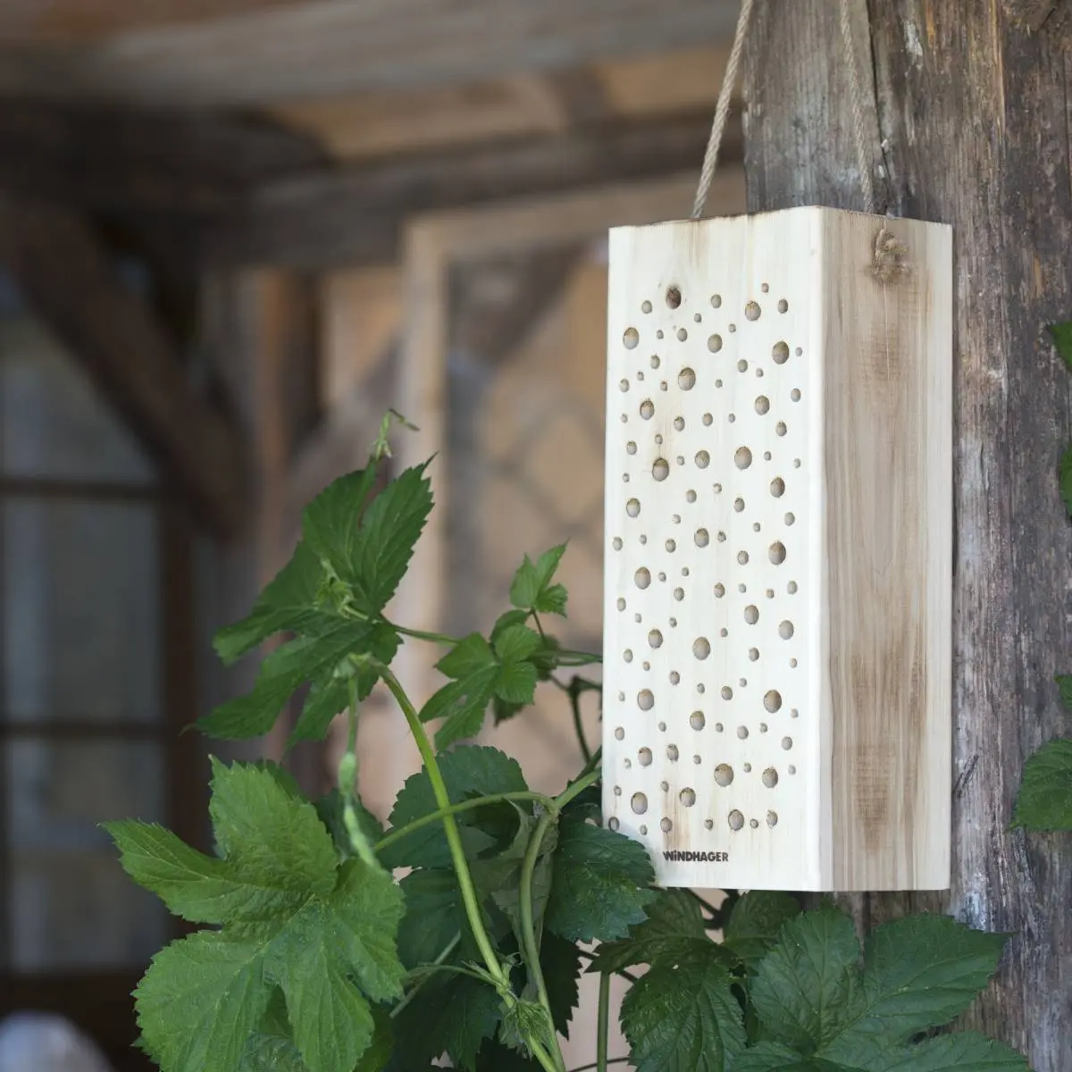 Nistholz für Wildbienen
