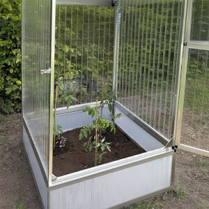 Frühbeet für Tomaten