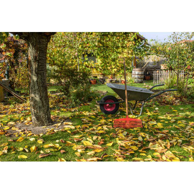 Der Garten im Herbst: Welche Arbeiten...