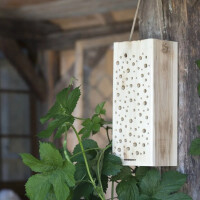 Nistholz für Wildbienen gallery