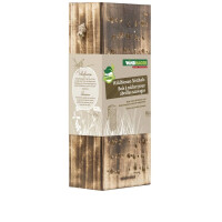 Nistholz für Wildbienen 3